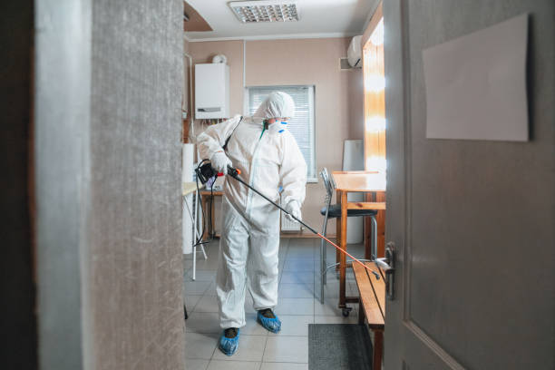 Best Mold Prevention Services  in Comfort, TX