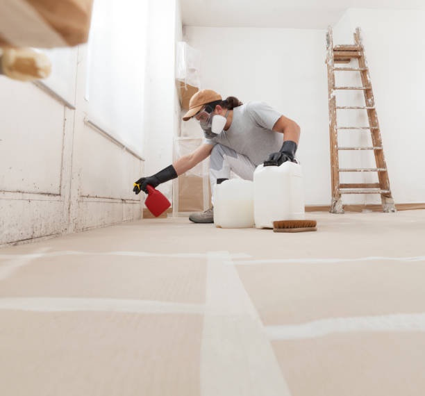 Best Attic Mold Removal  in Comfort, TX