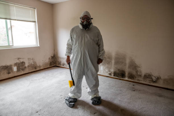 Mold Remediation for Vacation Homes in Comfort, TX