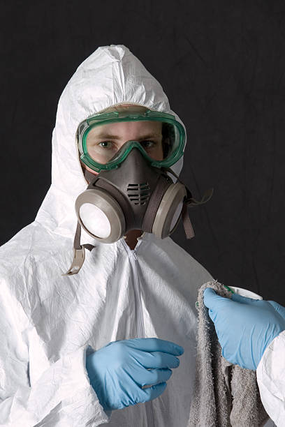 Best Asbestos and Lead Testing During Mold Inspection  in Comfort, TX